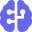 brain-circuit